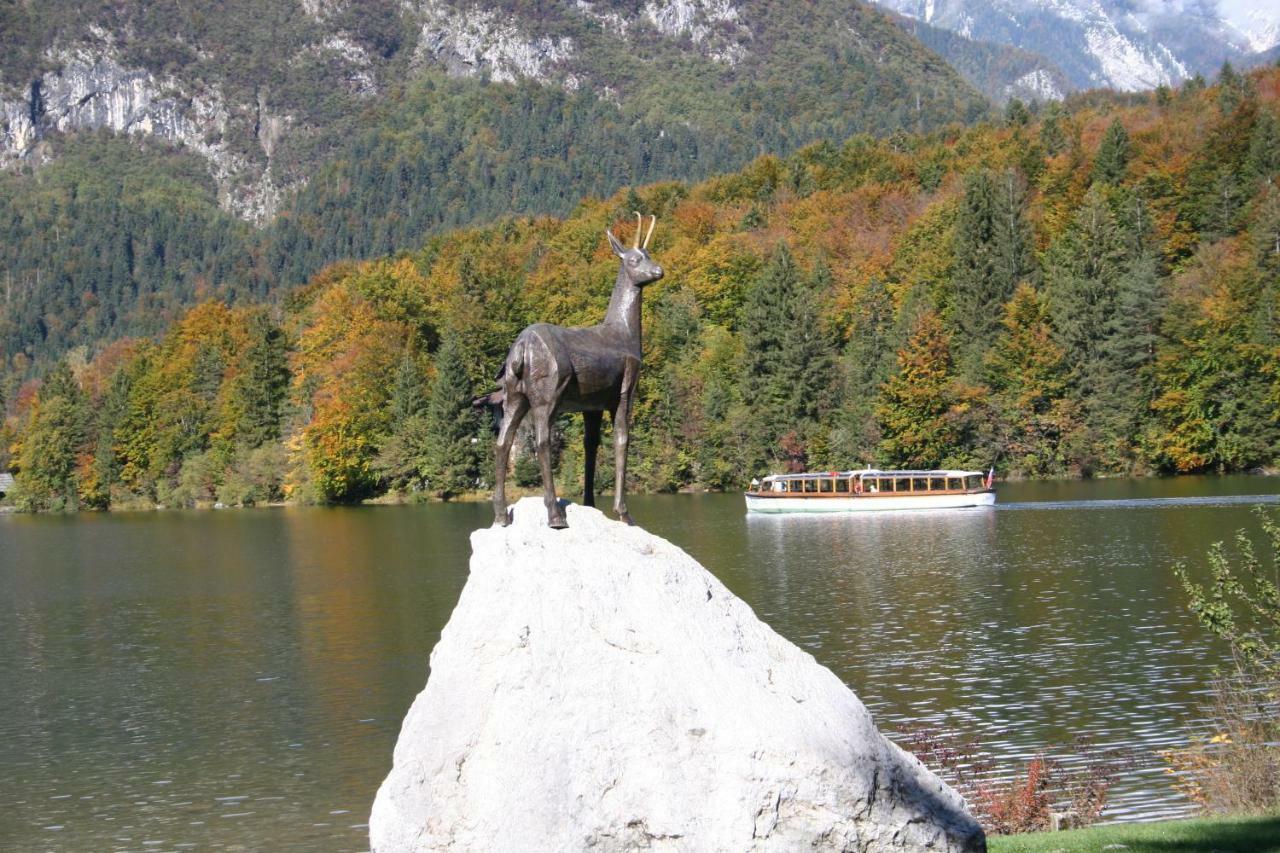 Apartment Ravnik Brod 13 Bohinj Luaran gambar