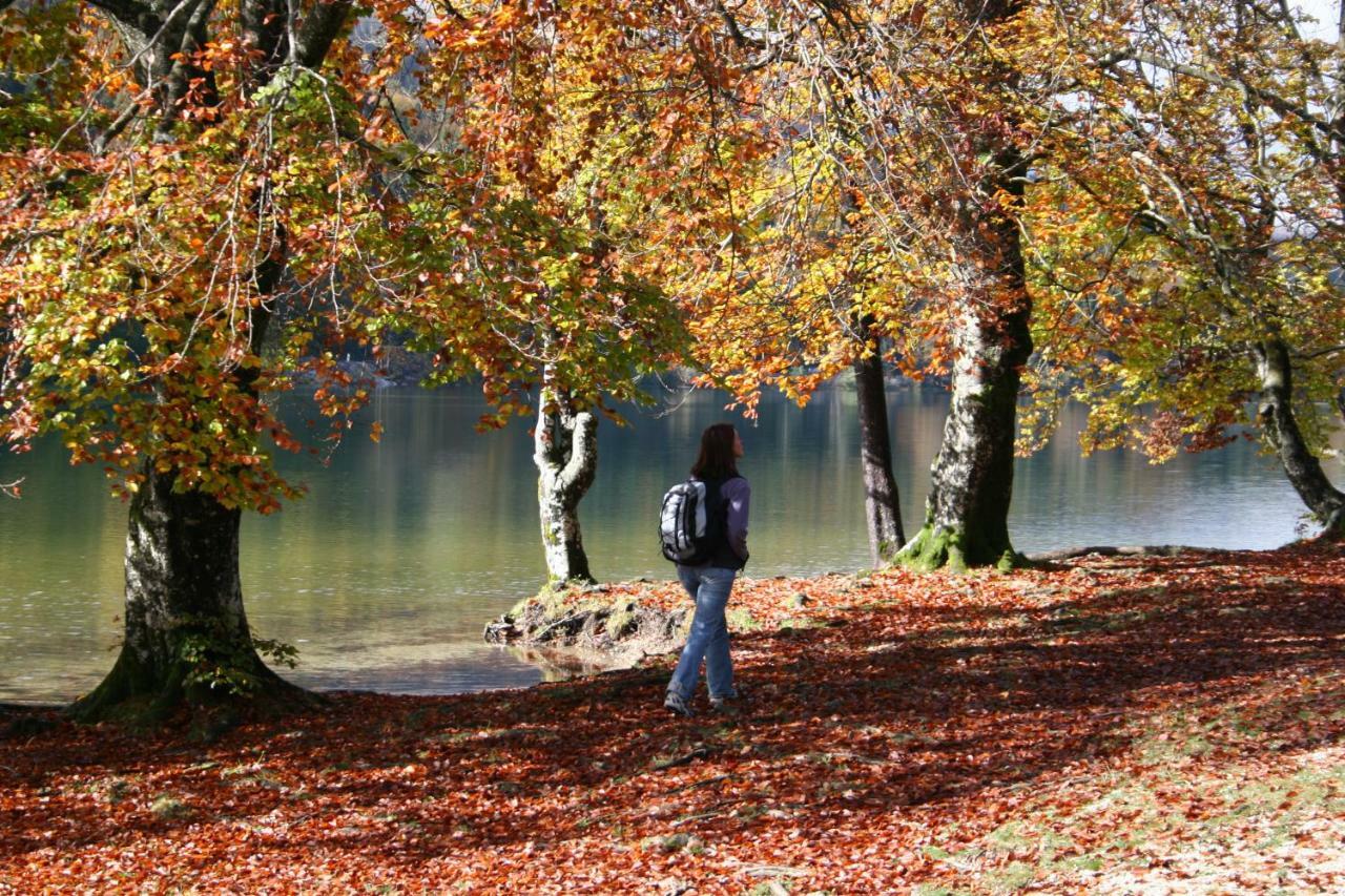 Apartment Ravnik Brod 13 Bohinj Luaran gambar